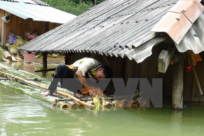 Storm-proof housing programme benefits 11,253 needy families, Tribute paid to World Peace Council Honorary President, Voluntary blood donation festival comes to Hai Phong, Young expatriates learn to preserve Vietnam’s culture abroad