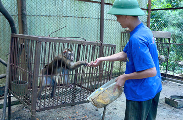 Bai Tu Long National Park, Ba Mun Island, Bai Tu Long Bay, Vietnam economy, Vietnamnet bridge, English news about Vietnam, Vietnam news, news about Vietnam, English news, Vietnamnet news, latest news on Vietnam, Vietnam