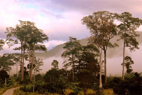 Phuoc Binh National Park, Da Ban Waterfall, Gia Non Waterfall, Vietnam economy, Vietnamnet bridge, English news about Vietnam, Vietnam news, news about Vietnam, English news, Vietnamnet news, latest news on Vietnam, Vietnam