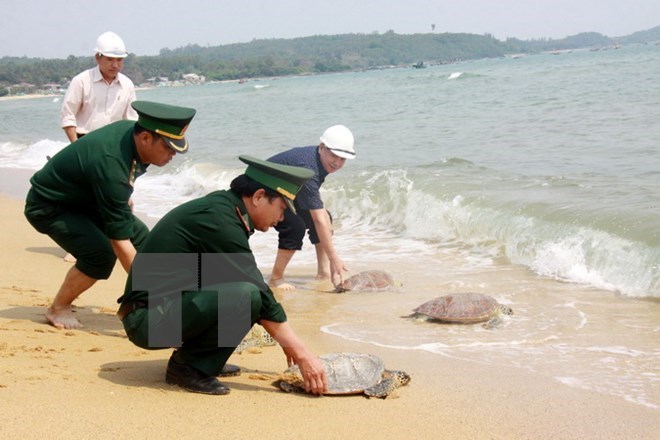 Tay Ninh seizes 66 turtles smuggled from Cambodia, Prime Minister launches censuses, HCM City association brings light to 500,000 poor patients, Vietnam’s image promoted in Argentina, Farms to grow cocoa with cashew trees