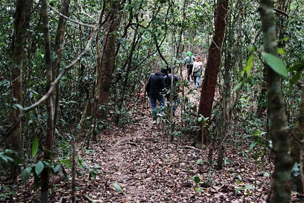 Bac Giang, Khe Ro forest, stilt-house, Vietnam economy, Vietnamnet bridge, English news about Vietnam, Vietnam news, news about Vietnam, English news, Vietnamnet news, latest news on Vietnam, Vietnam