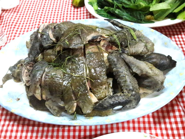 Ha Giang, black pigs, black chicken, stream fish, Hoang Su Phi, Vietnam economy, Vietnamnet bridge, English news about Vietnam, Vietnam news, news about Vietnam, English news, Vietnamnet news, latest news on Vietnam, Vietnam