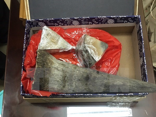 Rhino horn smuggling case busted in HCM City, Vietnamese expats in Malaysia updated with East Sea issue, Deputy PM vows to support IFRC’s operations in Vietnam, More than 3,000 applicants set for Korean language exams