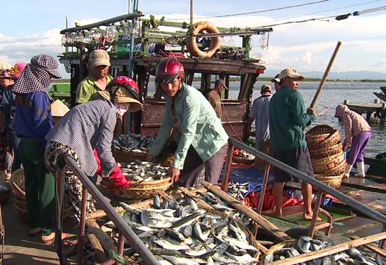Quang Binh destroys 606 tons of cadmium contaminated fish, social news, vietnamnet bridge, english news, Vietnam news, news Vietnam, vietnamnet news, Vietnam net news, Vietnam latest news, vn news, Vietnam breaking news