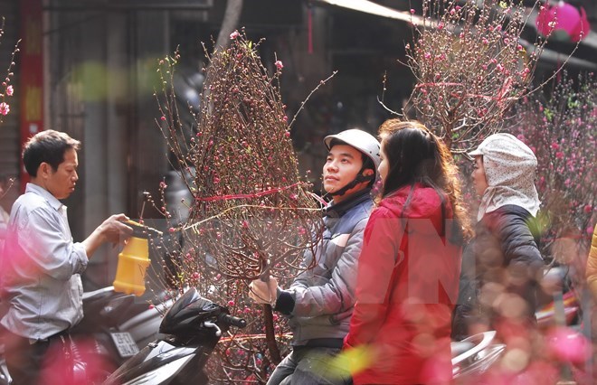 Lunar New Year – biggest traditional holiday in Vietnam - News VietNamNet