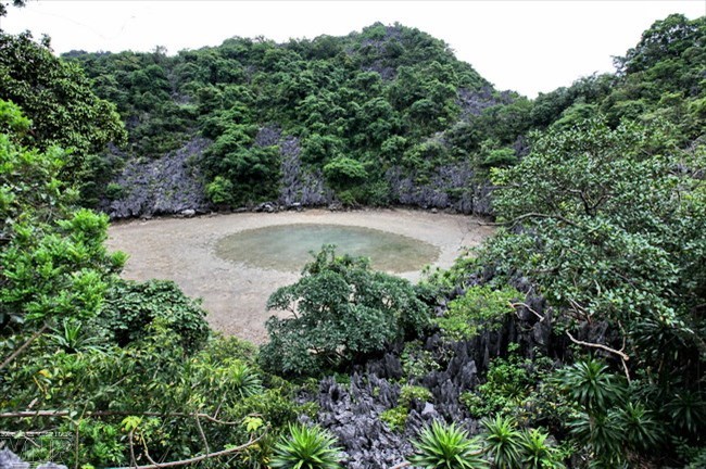 Bai Tu Long Bay – Another heaven in Quang Ninh province, travel news, Vietnam guide, Vietnam airlines, Vietnam tour, tour Vietnam, Hanoi, ho chi minh city, Saigon, travelling to Vietnam, Vietnam travelling, Vietnam travel, vn news