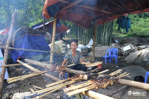 Nghe An, Pu Hoat Forest, Seven-Storey Waterfalls, Vietnam economy, Vietnamnet bridge, English news about Vietnam, Vietnam news, news about Vietnam, English news, Vietnamnet news, latest news on Vietnam, Vietnam