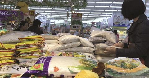 Thai rice worries Vietnamese exporters, vietnam economy, business news, vn news, vietnamnet bridge, english news, Vietnam news, news Vietnam, vietnamnet news, vn news, Vietnam net news, Vietnam latest news, Vietnam breaking news