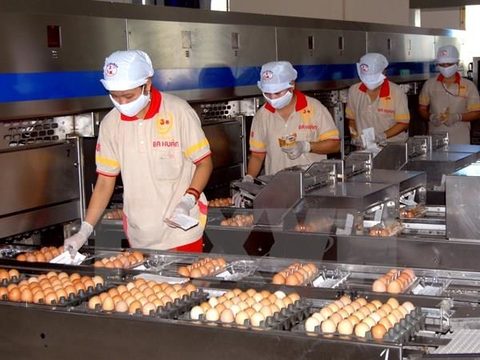 Vietnam sets import quotas for eggs, cigarettes, vietnam economy, business news, vn news, vietnamnet bridge, english news, Vietnam news, news Vietnam, vietnamnet news, vn news, Vietnam net news, Vietnam latest news, Vietnam breaking news