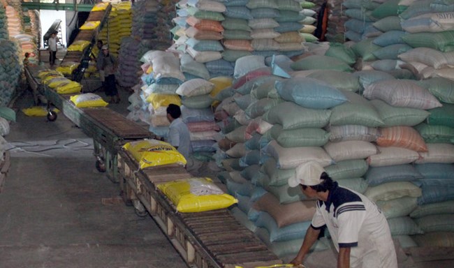 Vietnam should focus on high-quality rice, experts say, vietnam economy, business news, vn news, vietnamnet bridge, english news, Vietnam news, news Vietnam, vietnamnet news, vn news, Vietnam net news, Vietnam latest news, Vietnam breaking news