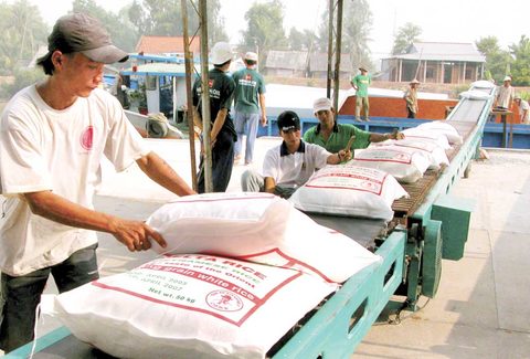 Vietnam wants China to permit more rice exporters, vietnam economy, business news, vn news, vietnamnet bridge, english news, Vietnam news, news Vietnam, vietnamnet news, vn news, Vietnam net news, Vietnam latest news, Vietnam breaking news