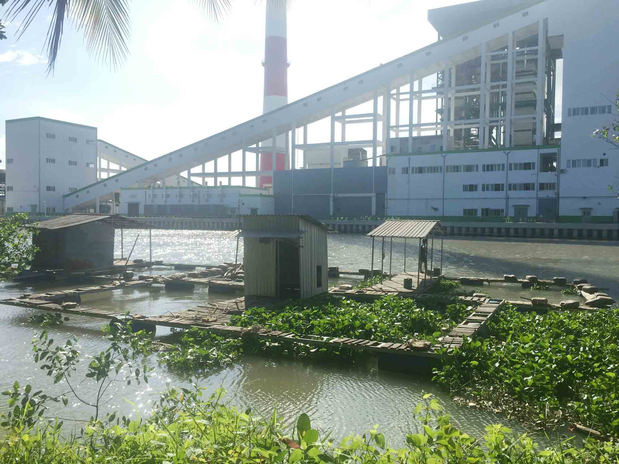 Fish farms in Hau Giang closed for fear of pollution from paper mill, environmental news, sci-tech news, vietnamnet bridge, english news, Vietnam news, news Vietnam, vietnamnet news, Vietnam net news, Vietnam latest news, Vietnam breaking news, vn news