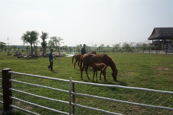 Cu Chi farms, Cu Chi Tunnel Complex, traditional craft villages, Vietnam economy, Vietnamnet bridge, English news about Vietnam, Vietnam news, news about Vietnam, English news, Vietnamnet news, latest news on Vietnam, Vietnam