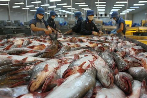 Agriculture Ministry to check tra exports to US, vietnam economy, business news, vn news, vietnamnet bridge, english news, Vietnam news, news Vietnam, vietnamnet news, vn news, Vietnam net news, Vietnam latest news, Vietnam reaking news