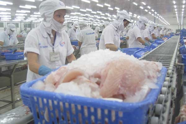 China emerges as biggest importer of Vietnam tra fish, vietnam economy, business news, vn news, vietnamnet bridge, english news, Vietnam news, news Vietnam, vietnamnet news, vn news, Vietnam net news, Vietnam latest news, Vietnam reaking news