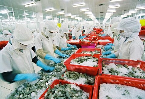 EU to inspect VN seafood exporters, vietnam economy, business news, vn news, vietnamnet bridge, english news, Vietnam news, news Vietnam, vietnamnet news, vn news, Vietnam net news, Vietnam latest news, Vietnam reaking news