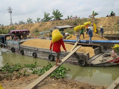 Future bright for Vietnam's rice exporters, vietnam economy, business news, vn news, vietnamnet bridge, english news, Vietnam news, news Vietnam, vietnamnet news, vn news, Vietnam net news, Vietnam latest news, Vietnam breaking news