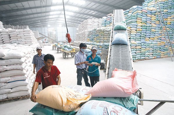 vietnam economy, business news, vn news, vietnamnet bridge, english news, Vietnam news, news Vietnam, vietnamnet news, vn news, Vietnam net news, Vietnam latest news, Vietnam breaking news, rice export, VFA, MARD