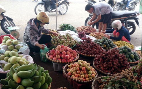 Hanoi to crackdown on fruit street vendors, social news, vietnamnet bridge, english news, Vietnam news, news Vietnam, vietnamnet news, Vietnam net news, Vietnam latest news, vn news, Vietnam breaking news