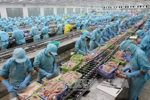 Japan-invested firm opens 42 mln-USD factory in Binh Duong, Vietnam aquatic, Tra fish festival scheduled for October, Vietnam reaching a heady high in the global beer business, Da Nang determined to build startup city