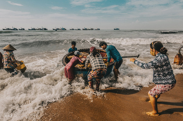 Bustling fishing port in Ba Ria-Vung Tau, social news, vietnamnet bridge, english news, Vietnam news, news Vietnam, vietnamnet news, Vietnam net news, Vietnam latest news, vn news, Vietnam breaking news