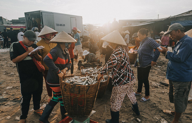 Bustling fishing port in Ba Ria-Vung Tau, social news, vietnamnet bridge, english news, Vietnam news, news Vietnam, vietnamnet news, Vietnam net news, Vietnam latest news, vn news, Vietnam breaking news