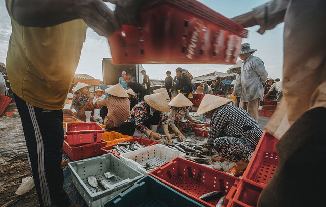 Bustling fishing port in Ba Ria-Vung Tau, social news, vietnamnet bridge, english news, Vietnam news, news Vietnam, vietnamnet news, Vietnam net news, Vietnam latest news, vn news, Vietnam breaking news