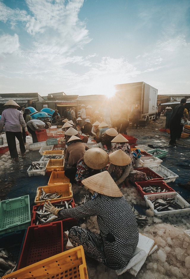 Bustling fishing port in Ba Ria-Vung Tau, social news, vietnamnet bridge, english news, Vietnam news, news Vietnam, vietnamnet news, Vietnam net news, Vietnam latest news, vn news, Vietnam breaking news