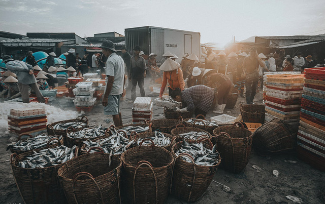 Bustling fishing port in Ba Ria-Vung Tau, social news, vietnamnet bridge, english news, Vietnam news, news Vietnam, vietnamnet news, Vietnam net news, Vietnam latest news, vn news, Vietnam breaking news