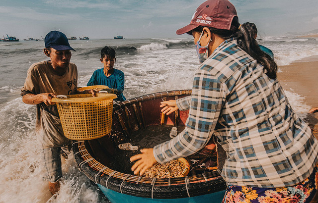 Bustling fishing port in Ba Ria-Vung Tau, social news, vietnamnet bridge, english news, Vietnam news, news Vietnam, vietnamnet news, Vietnam net news, Vietnam latest news, vn news, Vietnam breaking news