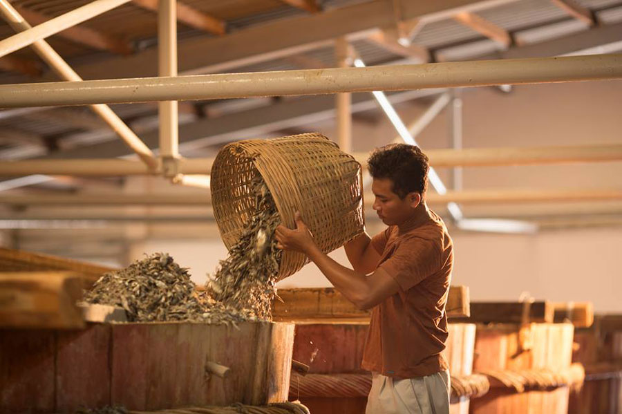 Phu Quoc fish sauce recognised as traditional craft, social news, vietnamnet bridge, english news, Vietnam news, news Vietnam, vietnamnet news, Vietnam net news, Vietnam latest news, vn news, Vietnam breaking news