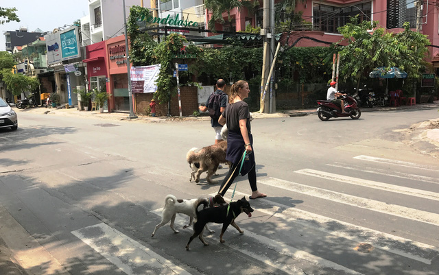 Pets poisoning worries Thao Dien Ward residents, social news, vietnamnet bridge, english news, Vietnam news, news Vietnam, vietnamnet news, Vietnam net news, Vietnam latest news, vn news, Vietnam breaking news