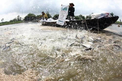 Vietnam steps up aquaculture cooperation with Cambodia, Government news, Vietnam breaking news, politic news, vietnamnet bridge, english news, Vietnam news, news Vietnam, vietnamnet news, Vietnam net news, Vietnam latest news, vn news