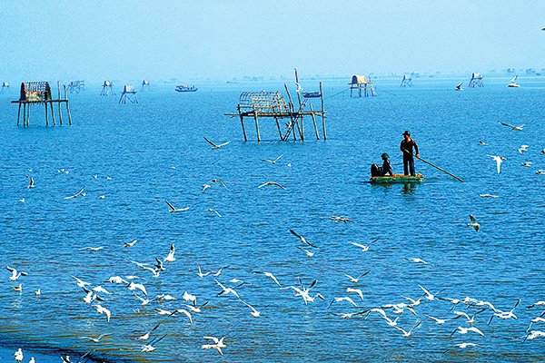 Exploring the untouched beauty of islets in Thai Binh, travel news, Vietnam guide, Vietnam airlines, Vietnam tour, tour Vietnam, Hanoi, ho chi minh city, Saigon, travelling to Vietnam, Vietnam travelling, Vietnam travel, vn news