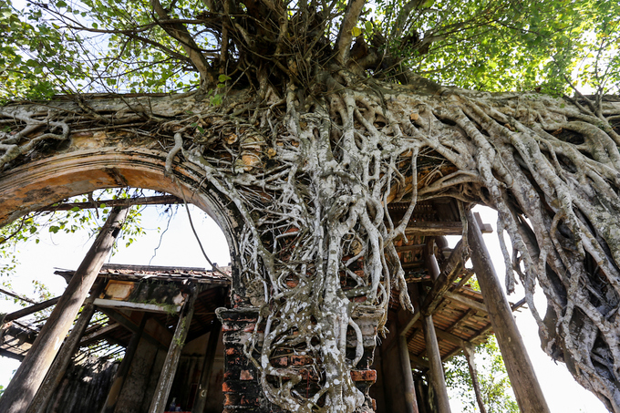 The ancient communal house inside Bodhi trees in Tien Giang, travel news, Vietnam guide, Vietnam airlines, Vietnam tour, tour Vietnam, Hanoi, ho chi minh city, Saigon, travelling to Vietnam, Vietnam travelling, Vietnam travel, vn news