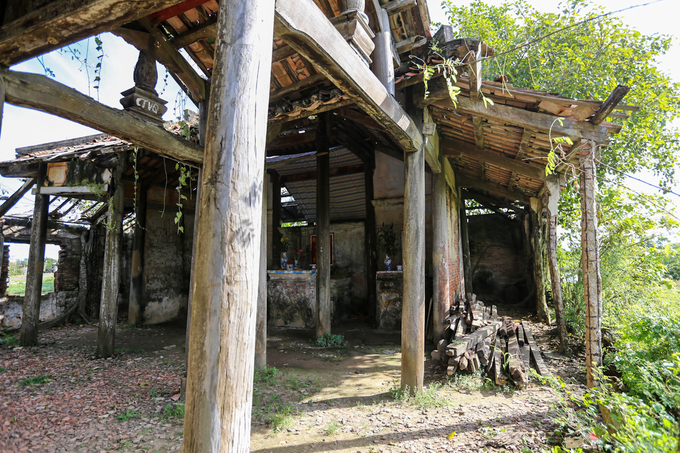 The ancient communal house inside Bodhi trees in Tien Giang, travel news, Vietnam guide, Vietnam airlines, Vietnam tour, tour Vietnam, Hanoi, ho chi minh city, Saigon, travelling to Vietnam, Vietnam travelling, Vietnam travel, vn news