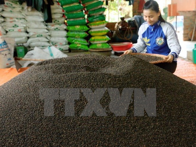 Businesses encouraged to invest in large-scale pepper production, GDP in quarter three posts record high of 7.46%, Export import turnover might reach $400 billion this year, HCMC posts year on year GRDP growth rate