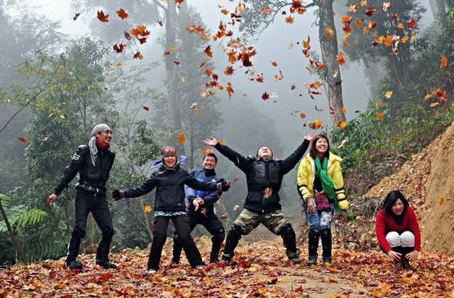 Discover the stunning beauty of red maple forests in Vietnam, travel news, Vietnam guide, Vietnam airlines, Vietnam tour, tour Vietnam, Hanoi, ho chi minh city, Saigon, travelling to Vietnam, Vietnam travelling, Vietnam travel, vn news