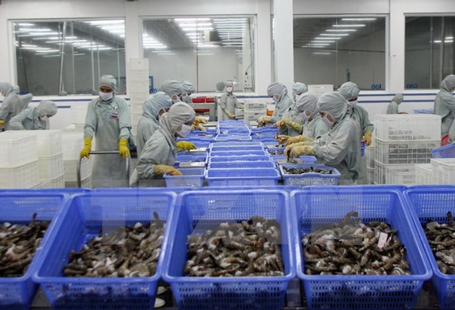 VASEP proposes urgent measures to regain EU’s “green card” on seafood, vietnam economy, business news, vn news, vietnamnet bridge, english news, Vietnam news, news Vietnam, vietnamnet news, vn news, Vietnam net news, Vietnam latest news, Vietnam breaking