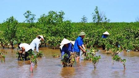 Target programme for climate change response and green growth approved, environmental news, sci-tech news, vietnamnet bridge, english news, Vietnam news, news Vietnam, vietnamnet news, Vietnam net news, Vietnam latest news, Vietnam breaking news, vn news