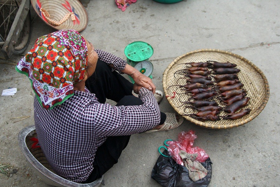 Hanoi farmers earn big during rat hunting season, social news, vietnamnet bridge, english news, Vietnam news, news Vietnam, vietnamnet news, Vietnam net news, Vietnam latest news, vn news, Vietnam breaking news