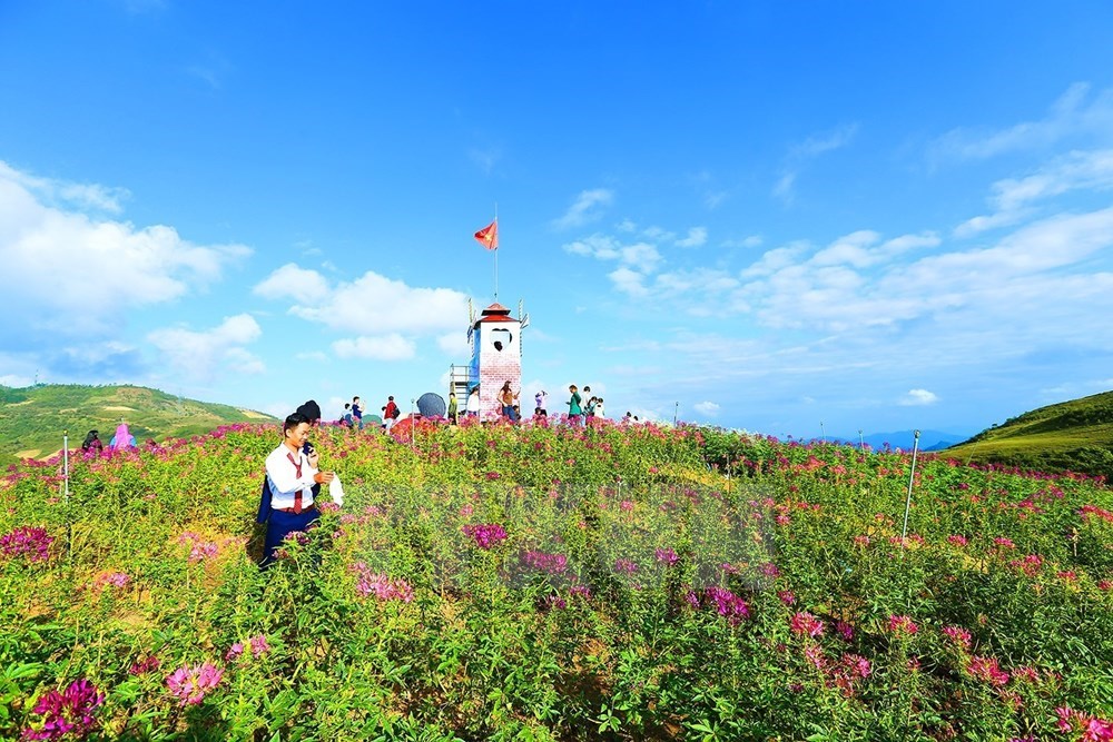 Pha Din Pass - attactive site in northwestern region, travel news, Vietnam guide, Vietnam airlines, Vietnam tour, tour Vietnam, Hanoi, ho chi minh city, Saigon, travelling to Vietnam, Vietnam travelling, Vietnam travel, vn news