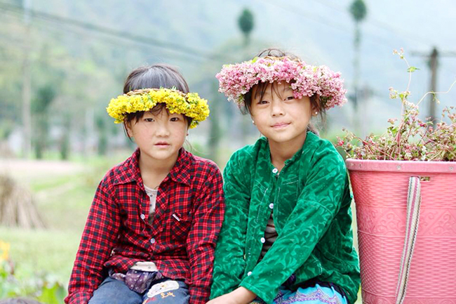 Buckwheat flowers bloom in Ha Giang, travel news, Vietnam guide, Vietnam airlines, Vietnam tour, tour Vietnam, Hanoi, ho chi minh city, Saigon, travelling to Vietnam, Vietnam travelling, Vietnam travel, vn news