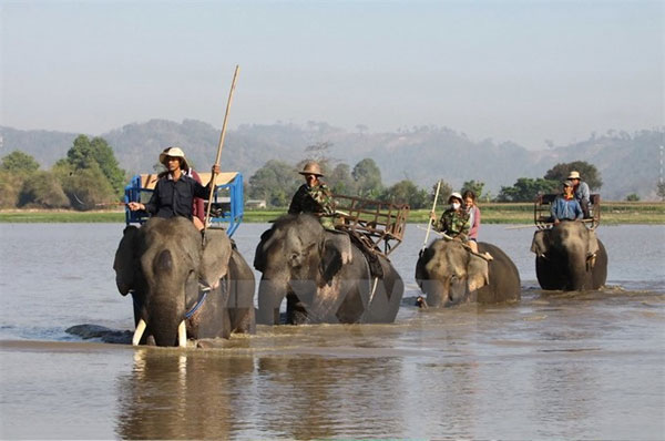 Wildlife trade monitoring network, tourist firms, environmental protection, Vietnam economy, Vietnamnet bridge, English news about Vietnam, Vietnam news, news about Vietnam, English news, Vietnamnet news, latest news on Vietnam, Vietnam