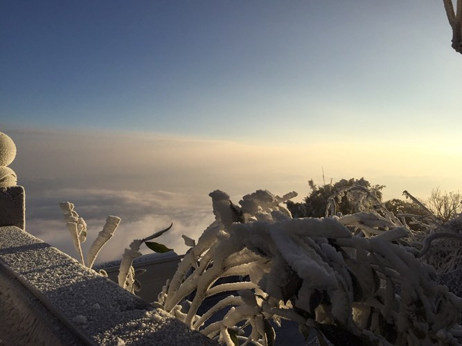 Snow blankets Fansipan Mountain, social news, vietnamnet bridge, english news, Vietnam news, news Vietnam, vietnamnet news, Vietnam net news, Vietnam latest news, vn news, Vietnam breaking news