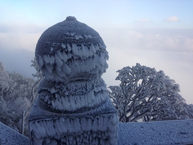 Snow blankets Fansipan Mountain, social news, vietnamnet bridge, english news, Vietnam news, news Vietnam, vietnamnet news, Vietnam net news, Vietnam latest news, vn news, Vietnam breaking news