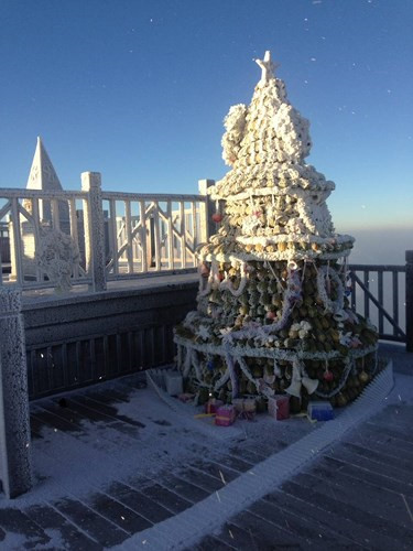 Snow blankets Fansipan Mountain, social news, vietnamnet bridge, english news, Vietnam news, news Vietnam, vietnamnet news, Vietnam net news, Vietnam latest news, vn news, Vietnam breaking news