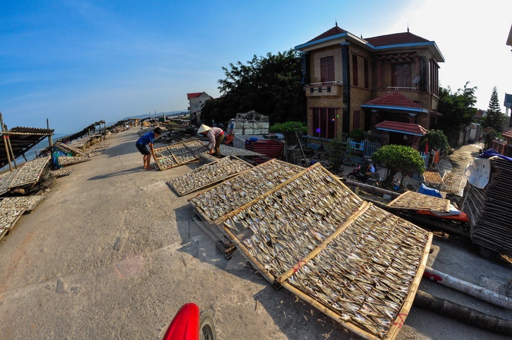 Nghi Son island commune at the sunset, thanh hoa travel, travel news, Vietnam guide, Vietnam airlines, Vietnam tour, tour Vietnam, Hanoi, ho chi minh city, Saigon, travelling to Vietnam, Vietnam travelling, Vietnam travel, vn news