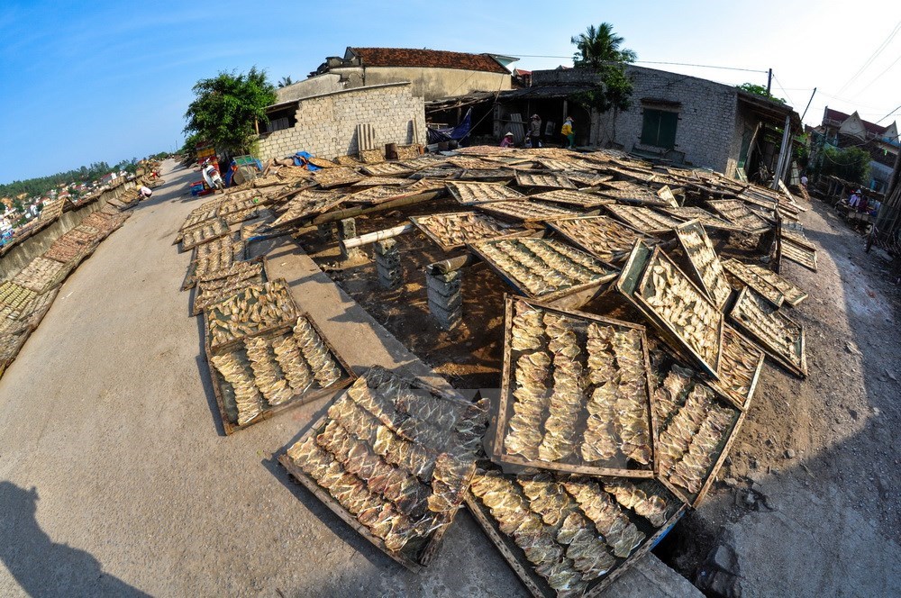 Nghi Son island commune at the sunset, thanh hoa travel, travel news, Vietnam guide, Vietnam airlines, Vietnam tour, tour Vietnam, Hanoi, ho chi minh city, Saigon, travelling to Vietnam, Vietnam travelling, Vietnam travel, vn news