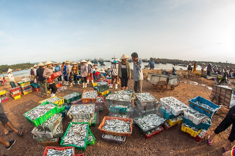 Nghi Son island commune at the sunset, thanh hoa travel, travel news, Vietnam guide, Vietnam airlines, Vietnam tour, tour Vietnam, Hanoi, ho chi minh city, Saigon, travelling to Vietnam, Vietnam travelling, Vietnam travel, vn news